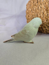 Load image into Gallery viewer, Minty Bird Parakeet