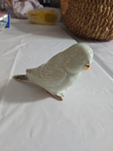 Load image into Gallery viewer, Minty Bird Parakeet