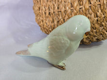 Load image into Gallery viewer, Minty Bird Parakeet