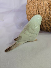 Load image into Gallery viewer, Minty Bird Parakeet
