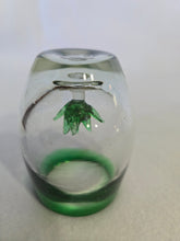 Load image into Gallery viewer, Blown Glass/cup/shot glass with agave succulent