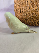 Load image into Gallery viewer, Minty Bird Parakeet