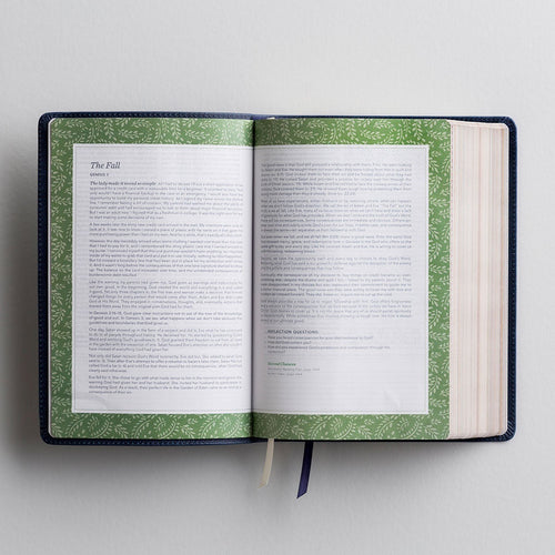 CSB (in)courage Devotional Bible (Green Cloth over Board)