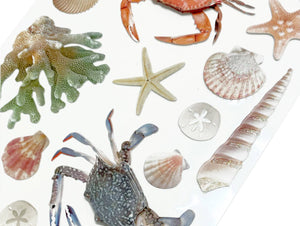 3D Scrapbook Stickers - Sea Shells and Such