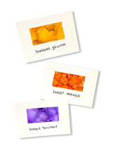 Load image into Gallery viewer, Alcohol Ink Set Summit View Spectrum