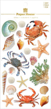 Load image into Gallery viewer, 3D Scrapbook Stickers - Sea Shells and Such