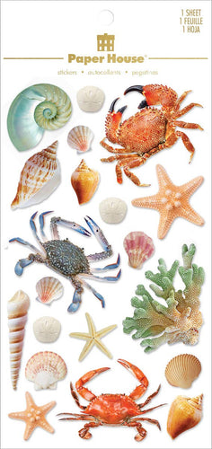 3D Scrapbook Stickers - Sea Shells and Such