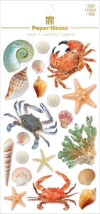 3D Scrapbook Stickers - Sea Shells and Such