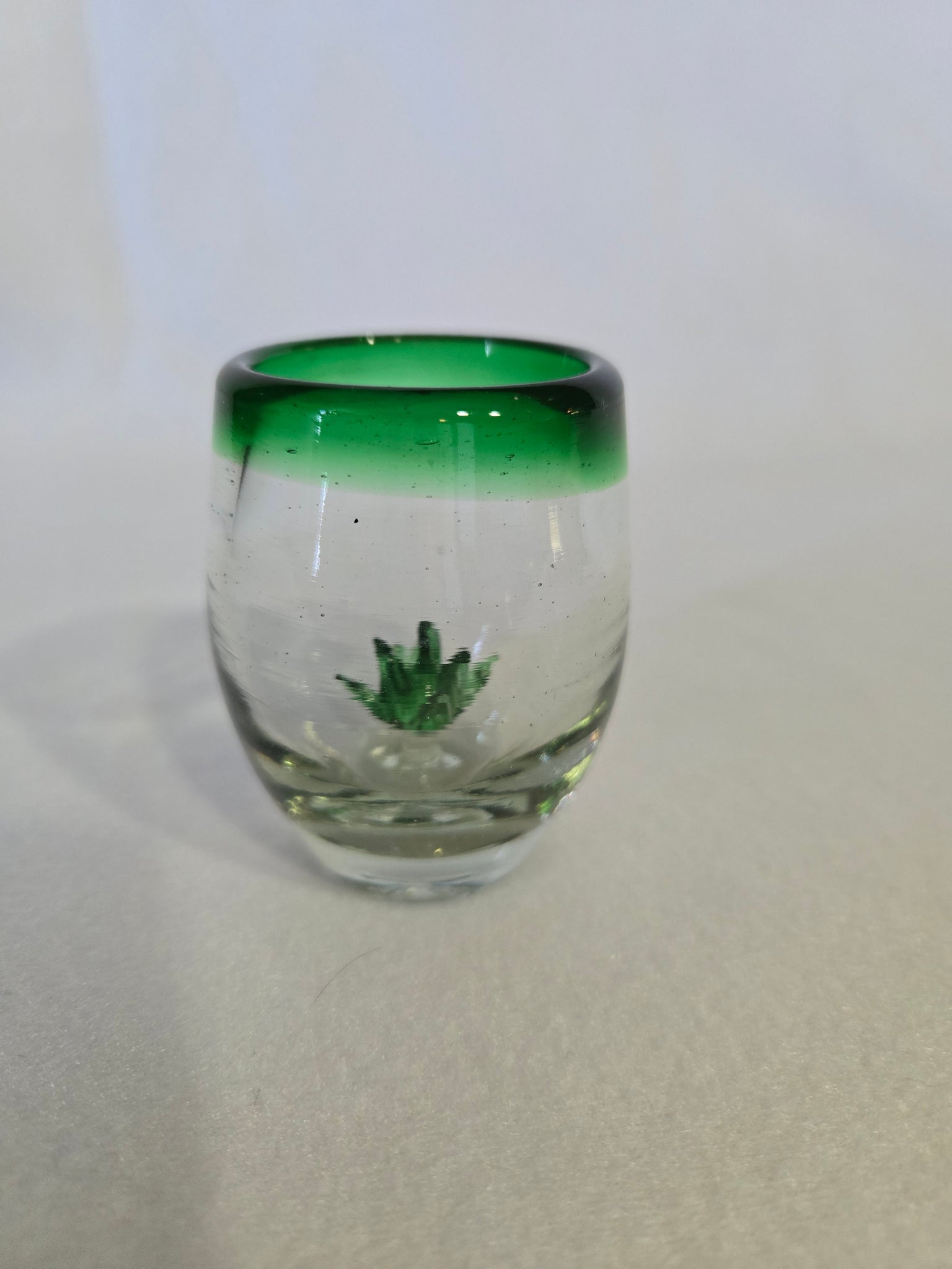 shot glass succulent Blown Glass/cup/shot glass with agave succulent – Faith Reflections