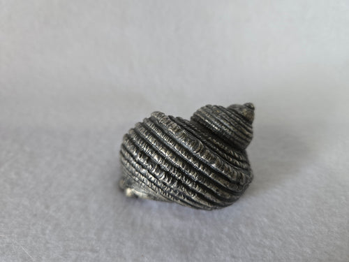 Pewter Seashell Paperweight