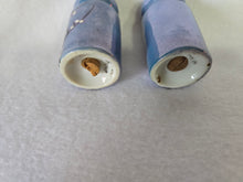 Load image into Gallery viewer, Japanese Cherry Blossom Salt and Pepper Shaker Set