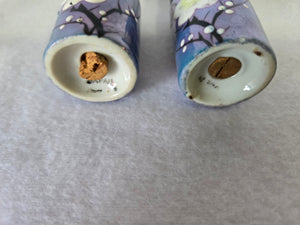 Japanese Cherry Blossom Salt and Pepper Shaker Set