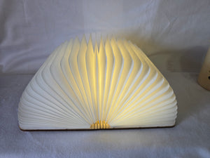 Book Lamp