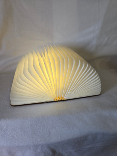Book Lamp