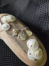 Load image into Gallery viewer, Sand Dollar