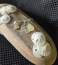 Load image into Gallery viewer, Sand Dollar