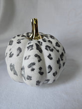 Load image into Gallery viewer, White Leopard Print, Elegant Fall Pumpkin Decor