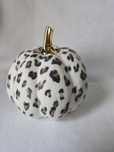 Load image into Gallery viewer, White Leopard Print, Elegant Fall Pumpkin Decor