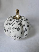 Load image into Gallery viewer, White Leopard Print, Elegant Fall Pumpkin Decor