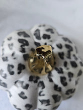 Load image into Gallery viewer, White Leopard Print, Elegant Fall Pumpkin Decor