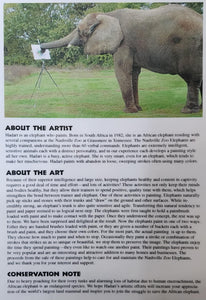 Original Acrylic Painting by Hadari the Elephant