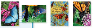 Boxed Cards - Encourage "You Still Matter" (Gracefully Yours)