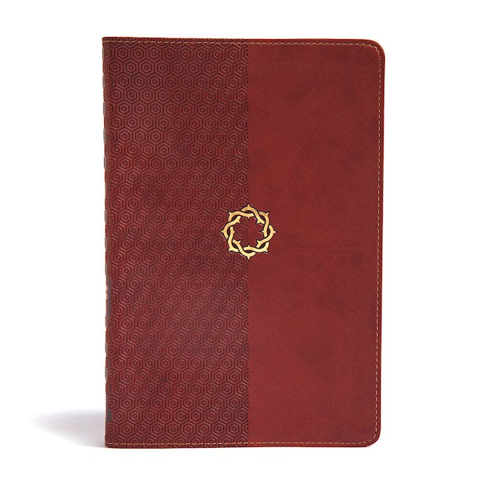 CSB Essential Teen Study Bible (Walnut LeatherTouch)