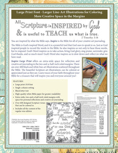 NLT Inspire Bible for Creative Journaling (Large Print, Hardcover, Tranquil Blue)