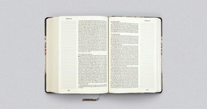 ESV Single Column Journaling Bible - Large Print (Summer Garden Hardcover)
