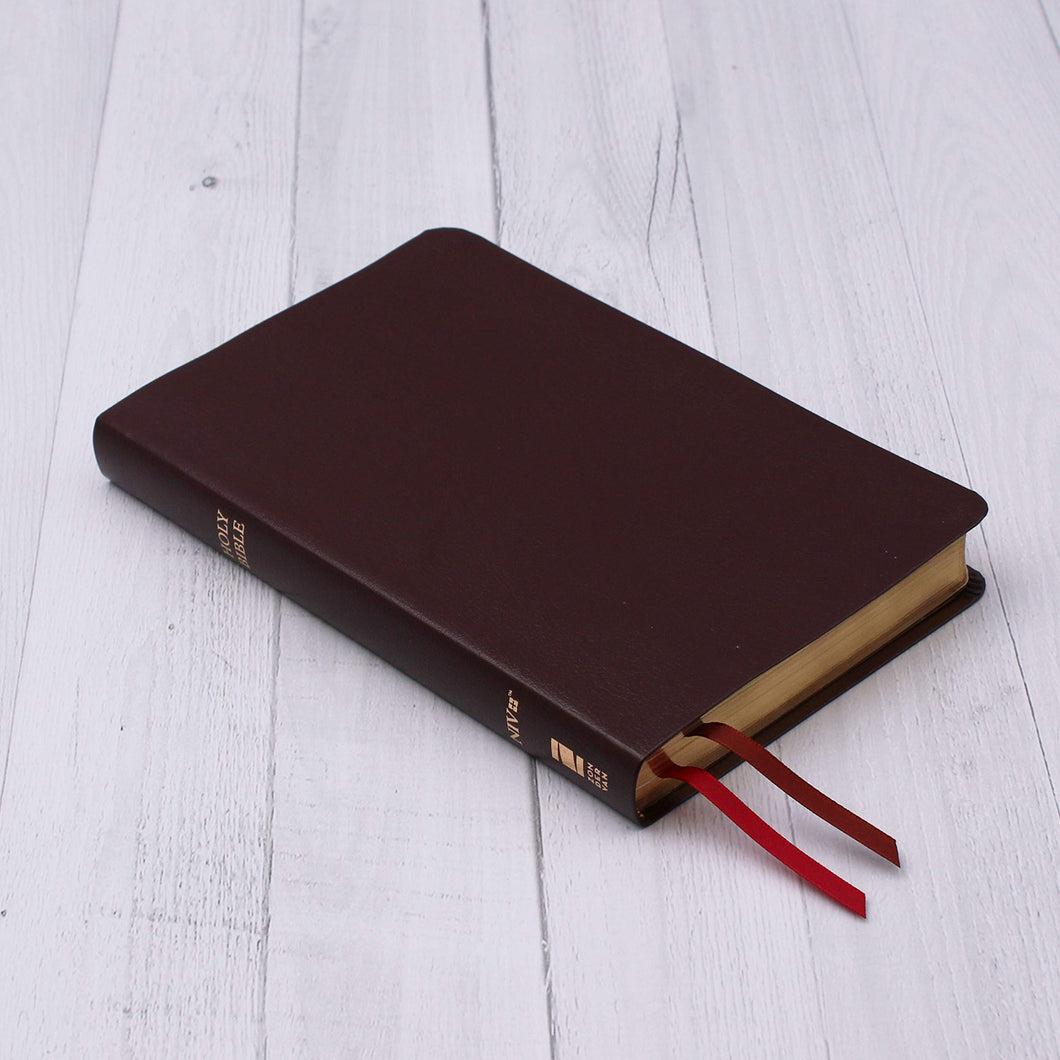 NIV Thinline Bible - Burgundy Bonded Leather (Indexed)