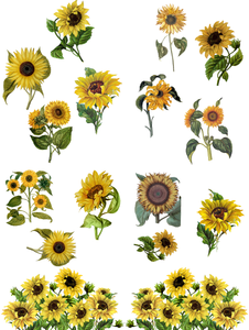 Transfer Art - Sunflower (Dixie Belle Paint Company)