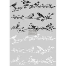 Load image into Gallery viewer, Redesign Decor Transfer - Birds &amp; Berries (Prima)