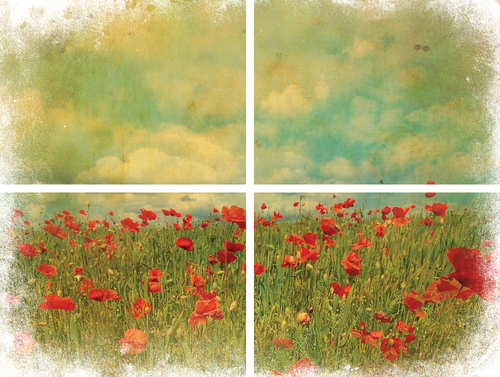 Transfer Art - Field of Flowers (Dixie Belle)