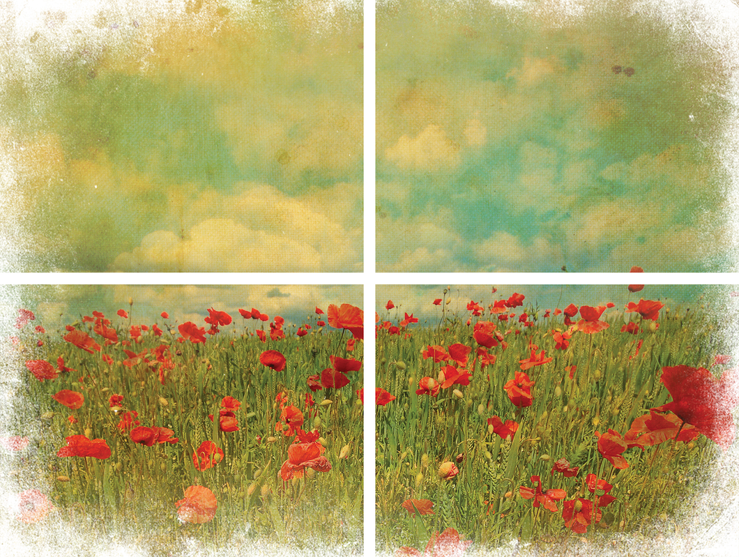 Transfer Art - Field of Flowers (Dixie Belle)