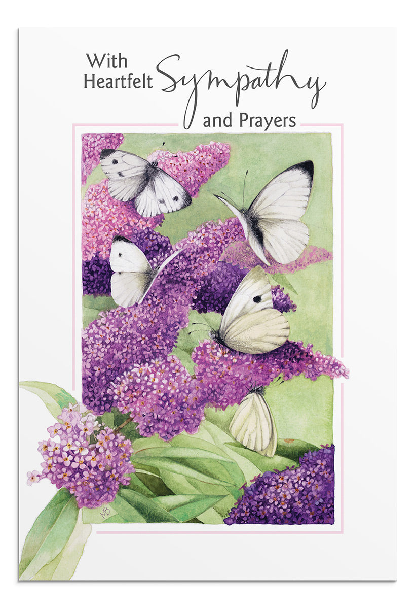 Boxed Sympathy Cards -Nature's Blessings-Butterflies (DaySpring)