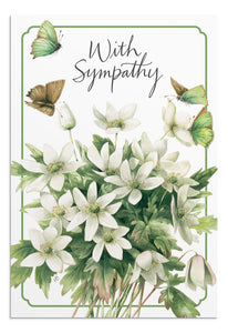 Boxed Sympathy Cards -Nature's Blessings-Butterflies (DaySpring)