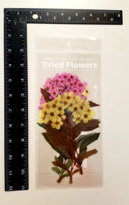 Stickers - Transparent Waterproof Stickers - Flowers/Plants