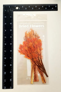 Stickers - Transparent Waterproof Stickers - Flowers/Plants