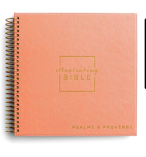 NIV Illustrating Bible – Books of Psalms & Proverbs