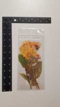 Load image into Gallery viewer, Stickers - Transparent Waterproof Stickers - Flowers/Plants