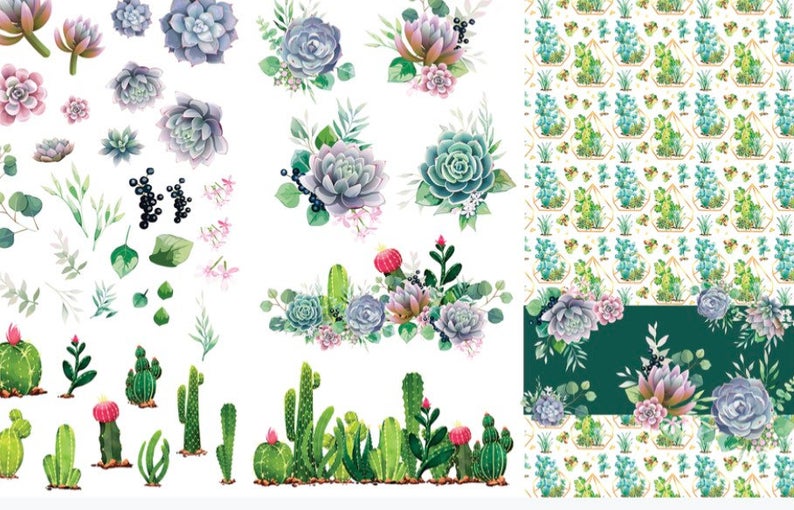 Transfer Art - Cacti & Succulents (Dixie Belle)